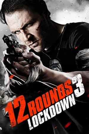 12 Rounds 3 Lockdown 2015 Hindi Dual Audio 480p BluRay 300MB - Movierulz