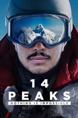 14 Peaks: Nothing Is Impossible (2021) Hindi Dual Audio 480p HDRip 350MB - Movierulz