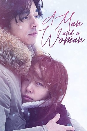 A Man and A Woman (2016) Hindi Dual Audio 480p BluRay 400MB - Movierulz