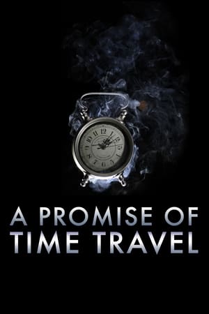 A Promise of Time Travel 2016 Hindi Dual Audio 480p Web-DL 300MB - Movierulz