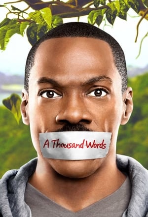 A Thousand Words (2012) Hindi Dual Audio 720p BluRay [800MB] - Movierulz