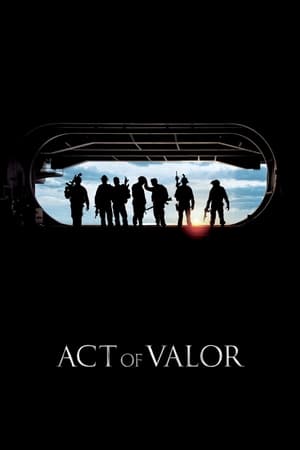 Act of Valor (2012) Hindi Dual Audio 480p BluRay 390MB - Movierulz