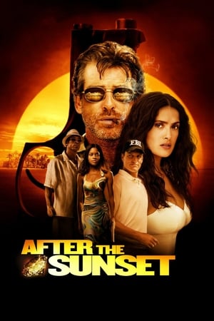 After The Sunset (2004) Hindi Dual Audio 480p BluRay 320MB - Movierulz