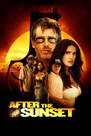 After The Sunset (2004) Hindi Dual Audio 720p BluRay [780MB] - Movierulz