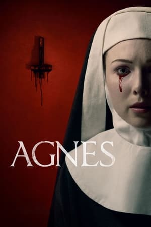 Agnes (2021) Hindi Dual Audio HDRip 720p – 480p - Movierulz