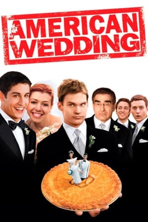 American Wedding (2003) Hindi Dual Audio 480p BluRay 300MB - Movierulz