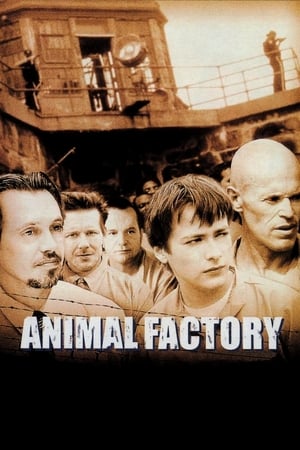 Animal Factory (2000) Hindi Dual Audio 480p BluRay 300MB - Movierulz