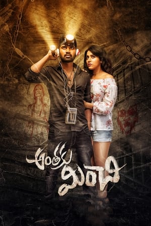 Anthaku Minchi (2018) Hindi Dubbed 480p HDRip 300MB - Movierulz