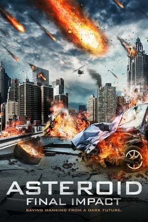 Asteroid: Final Impact (2015) Hindi Dual Audio 480p BluRay 290MB - Movierulz