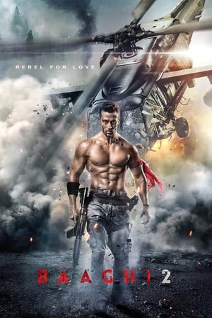 Baaghi 2 2018 Movie HDRip x264 [700MB] - Movierulz