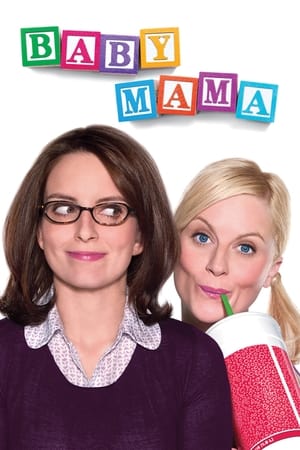 Baby Mama (2008) Hindi Dual Audio 480p BluRay 300MB - Movierulz