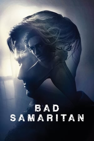 Bad Samaritan (2018) Hindi Dual Audio 480p BluRay 400MB - Movierulz