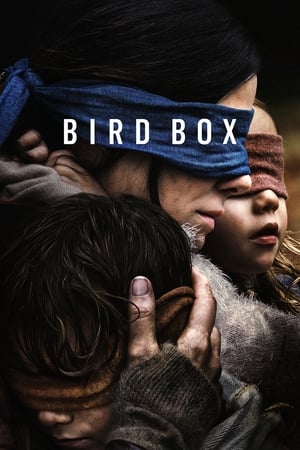 Bird Box 2018 Hindi (HQ DUBBED) Dual Audio 480p WebRip 380MB - Movierulz