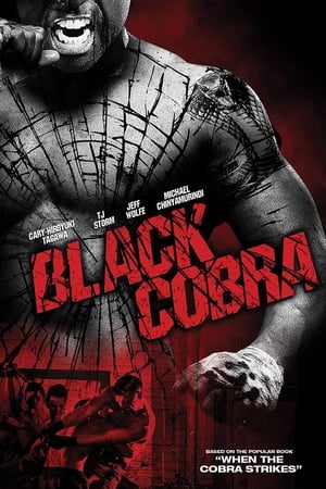 Black Cobra (2012) Hindi Dual Audio 480p BluRay 300MB - Movierulz