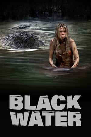 Black Water (2007) Hindi Dual Audio 480p BluRay 300MB - Movierulz