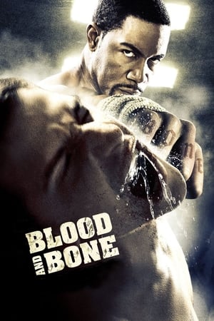 Blood and Bone (2009) Hindi Dual Audio 480p BluRay 300MB - Movierulz