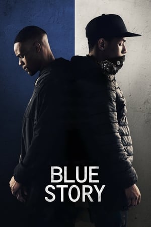 Blue Story (2019) Hindi Dual Audio HDRip 720p – 480p - Movierulz