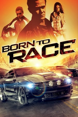 Born to Race 2011 Hindi Dual Audio 480p BluRay 300MB - Movierulz