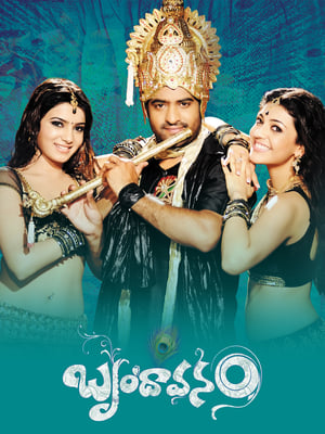 Brindavanam (The Super Khiladi) (2010) (Hindi – Telugu) Dual Audio 480p UnCut HDRip 600MB - Movierulz