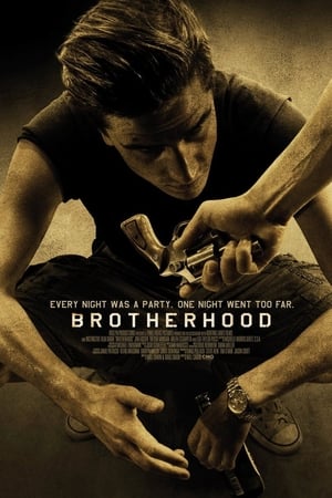 Brotherhood (2010) Hindi Dual Audio HDRip 720p – 480p - Movierulz