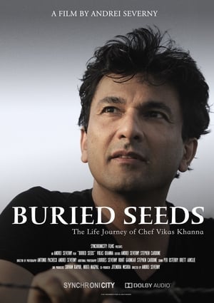 Buried Seeds 2019 Hindi Dual Audio 480p Web-DL 250MB - Movierulz