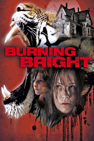 Burning Bright (2010) Hindi Dual Audio 480p BluRay 300MB - Movierulz