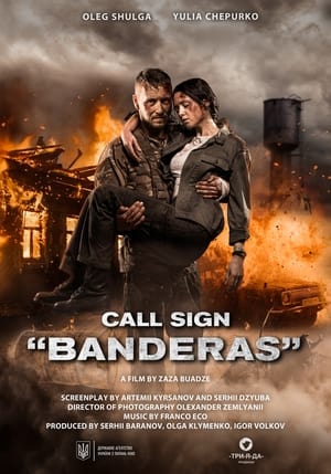 Call Sign Banderas (2018) Hindi Dual Audio HDRip 720p – 480p - Movierulz