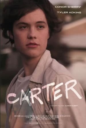 Carter (2022) Hindi Dual Audio HDRip 720p – 480p - Movierulz