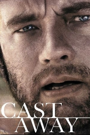 Cast Away 2000 Hindi Dual Audio 480p BluRay 450MB - Movierulz