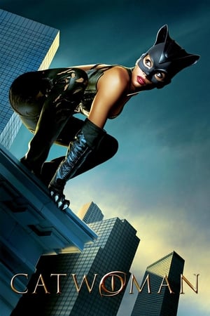 Catwoman (2004) Hindi Dual Audio 480p BDRip 400MB - Movierulz