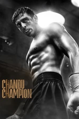 Chandu Champion 2024 Hindi CAMRip 1080p - Movierulz