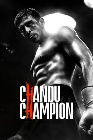 Chandu Champion 2024 Hindi HDRip 720p – 480p – 1080p - Movierulz