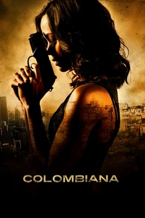 Colombiana (2011) Hindi Dual Audio 480p BluRay 350MB - Movierulz