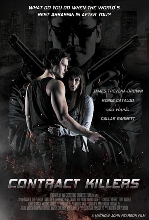 Contract Killers (2014) 100mb Hindi Dual Audio movie Hevc BRRip Download - Movierulz