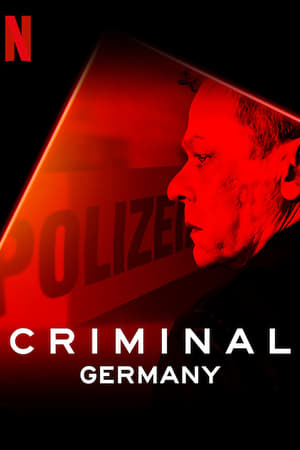 Criminal: Germany (2019) Season 1 All Episodes Dual Audio Hindi 720p HDRip [Complete] - Movierulz