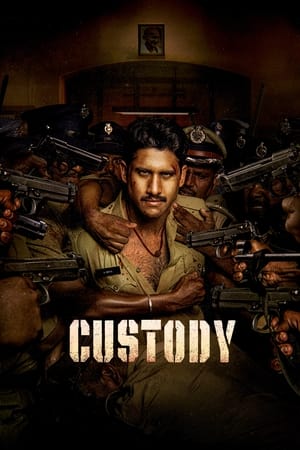 Custody 2023 Hindi (ORG) Dubbed HDTVRip 720p – 480p - Movierulz