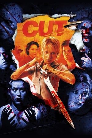 Cut (2000) Hindi Dual Audio 480p BluRay 300MB - Movierulz