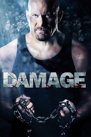 Damage 2009 Hindi Dual Audio 480p BluRay 330MB - Movierulz