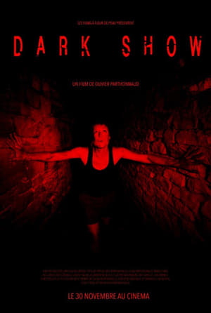 Dark Show (2016) Hindi Dual Audio HDRip 720p – 480p - Movierulz