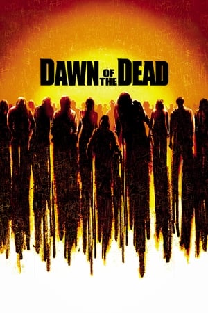 Dawn of the Dead (2004) Hindi Dual Audio 480p BluRay 400MB - Movierulz