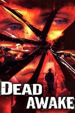 Dead Awake 2001 Hindi Dual Audio 480p WebRip 300MB - Movierulz