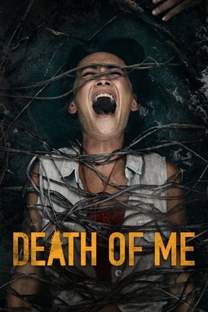 Death of Me (2020) Hindi Dual Audio 480p HDRip 300MB - Movierulz