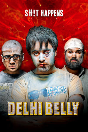 Delhi Belly 2011 Full Movie 480p DVDRip [300MB] - Movierulz