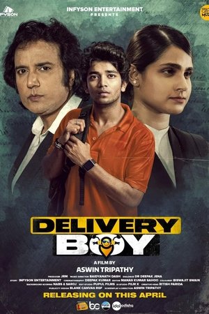 Delivery Boy 2 (2025) WEBRIP Hindi (MULTI AUDIO) 720p – 480p – 1080p