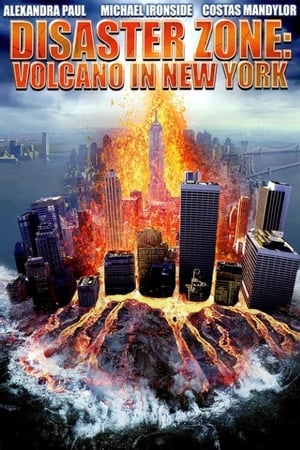 Disaster Zone Volcano in New York 2006 Hindi Dual Audio 480p HDRip 300MB - Movierulz