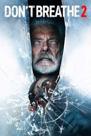 Don’t Breathe 2 (2021) Hindi Dual Audio 480p HDRip 400MB - Movierulz