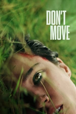 Dont Move 2024 Hindi ORG Dual Audio HDRip 720p – 480p – 1080p - Movierulz