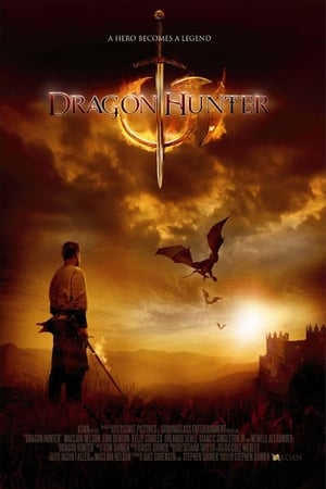 Dragon Hunter (2009) Hindi Dual Audio 480p BluRay 300MB - Movierulz