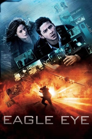 Eagle Eye (2008) Hindi Dual Audio 480p BluRay 330MB ESubs - Movierulz