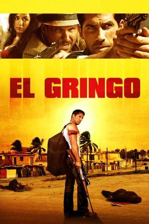 El Gringo (2012) Hindi Dual Audio 480p HDRip 300MB - Movierulz